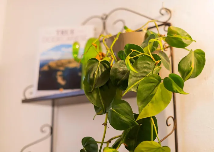 Casa vacanze Layla Blu In The Medieval Town