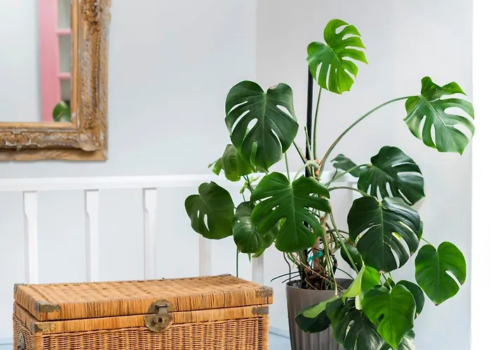 Casa vacanze Layla Blu In The Medieval Town Rhodes City