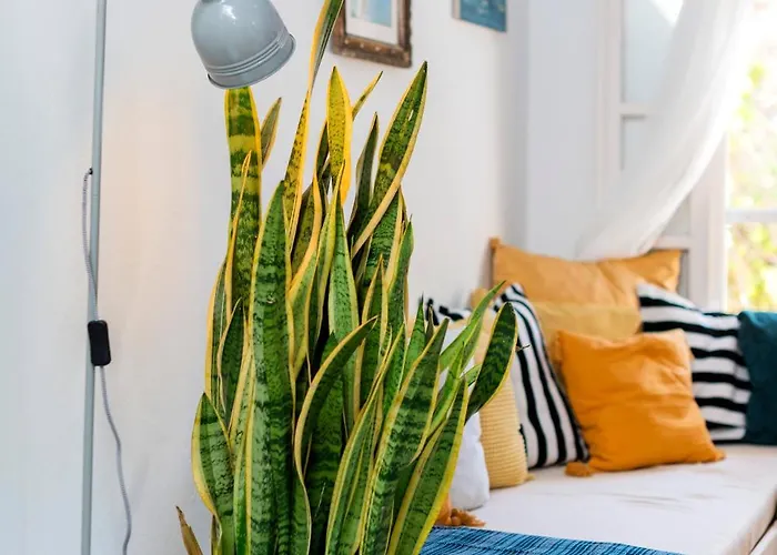 Casa vacanze Layla Blu In The Medieval Town *